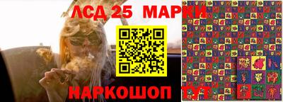 гашик Заводоуковск
